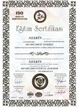 sertifika 5