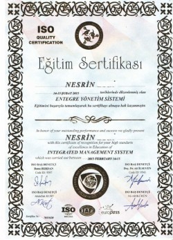 sertifika 6