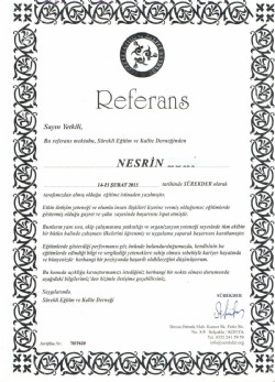 sertifika 11